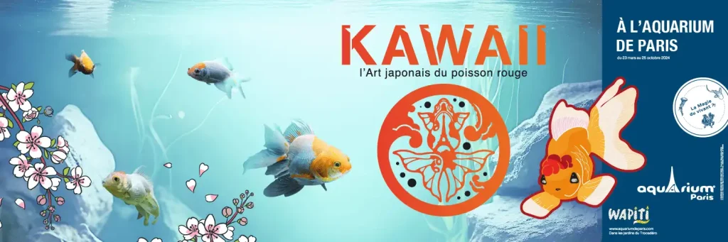 可爱艺术：日本金鱼 Kawaii, l’art japonais du poisson rouge 官网宣传海报