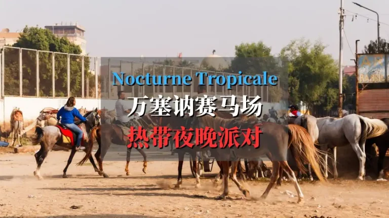 Les Nocturnes Tropicales 万塞讷赛马场的热带夜晚派对活动