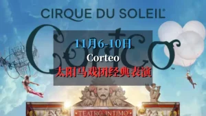 太阳马戏团 corteo 巴黎巡演