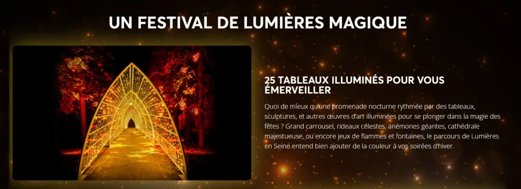 塞纳之光 Lumières en Seine，来自官网