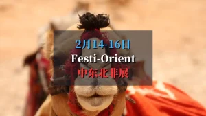 巴黎Festi-Orient 2025：一场沉浸式的中东与北非文化体验！