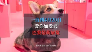 Je t’aime comme un chien 爱你如爱犬