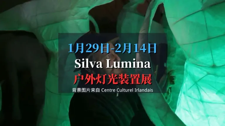 Silva Lumina户外灯光装置展