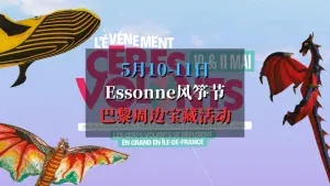 Essonne首届风筝节