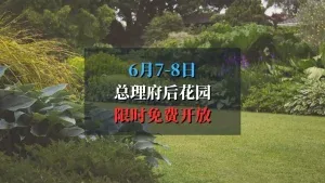 总理府后花园限时免费开放